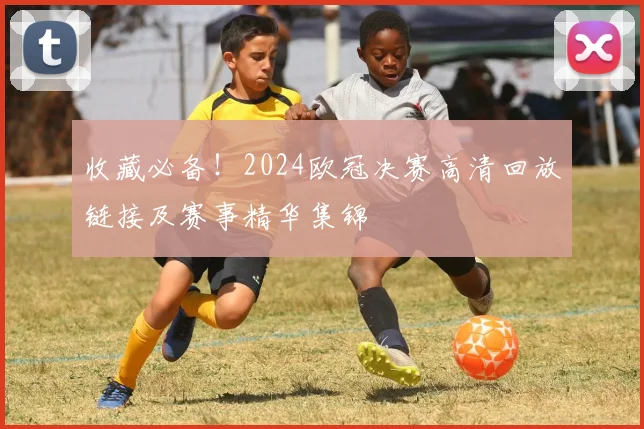 收藏必备！2024欧冠决赛高清回放链接及赛事精华集锦